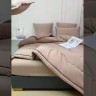 Одеяло Candie's Бархатный Сатин с простынёй и наволочками на резинке ODCANBN01